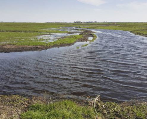 De waterstand rond de percelen is verhoogd tot 0-10cm